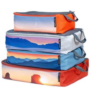 Well Traveled 4-Piece Packing Cubes